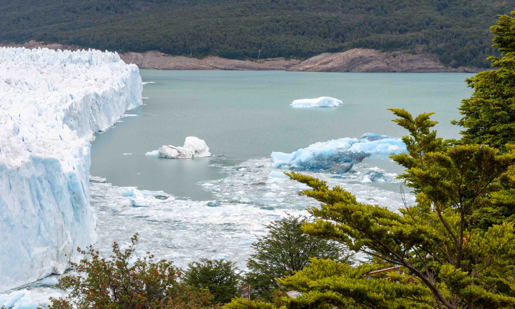 Receding glacier and fir trees